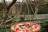 vogeltaarten-hangen-in-de-tuin-kiwanis-moerdijk - Afbeelding 2 van 3